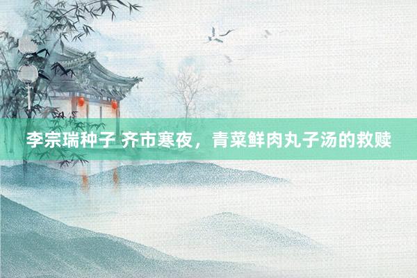 李宗瑞种子 齐市寒夜，青菜鲜肉丸子汤的救赎