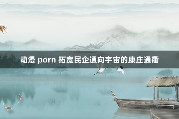 动漫 porn 拓宽民企通向宇宙的康庄通衢