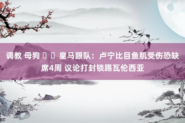 调教 母狗 ⚡️皇马跟队：卢宁比目鱼肌受伤恐缺席4周 议论打封锁踢瓦伦西亚