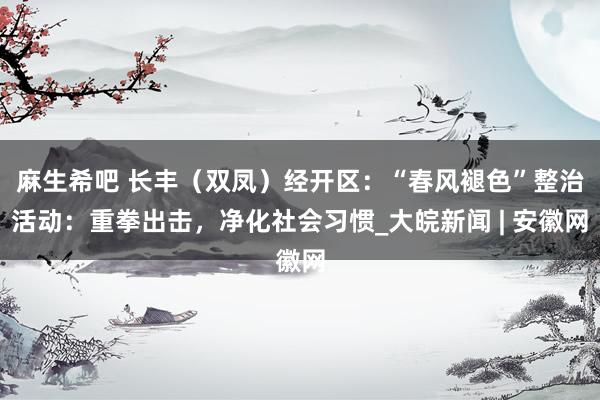 麻生希吧 长丰（双凤）经开区：“春风褪色”整治活动：重拳出击，净化社会习惯_大皖新闻 | 安徽网
