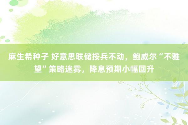 麻生希种子 好意思联储按兵不动，鲍威尔“不雅望”策略迷雾，降息预期小幅回升