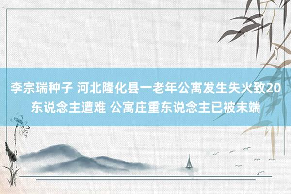李宗瑞种子 河北隆化县一老年公寓发生失火致20东说念主遭难 公寓庄重东说念主已被末端