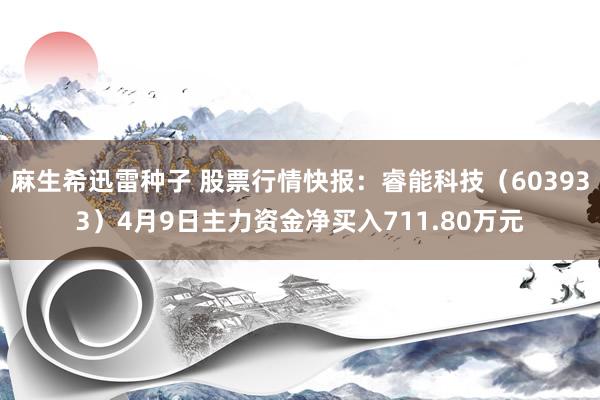 麻生希迅雷种子 股票行情快报：睿能科技（603933）4月9日主力资金净买入711.80万元