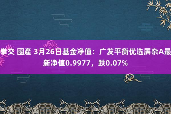 拳交 國產 3月26日基金净值：广发平衡优选羼杂A最新净值0.9977，跌0.07%