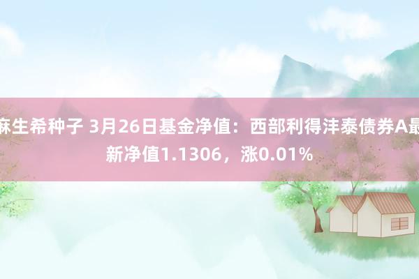 麻生希种子 3月26日基金净值：西部利得沣泰债券A最新净值1.1306，涨0.01%