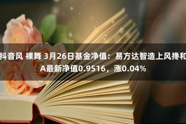 抖音风 裸舞 3月26日基金净值：易方达智造上风搀和A最新净值0.9516，涨0.04%