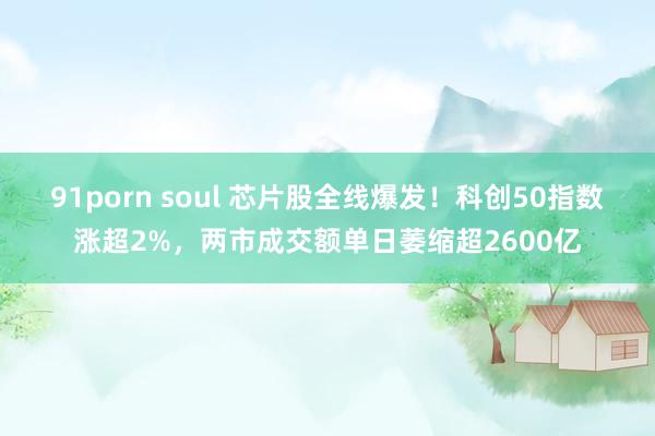 91porn soul 芯片股全线爆发！科创50指数涨超2%，两市成交额单日萎缩超2600亿