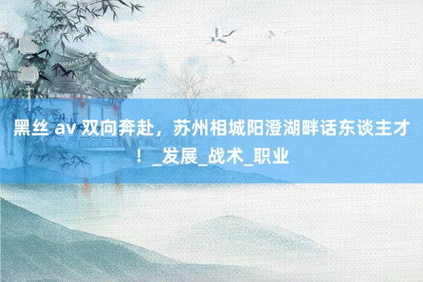 黑丝 av 双向奔赴，苏州相城阳澄湖畔话东谈主才！_发展_战术_职业