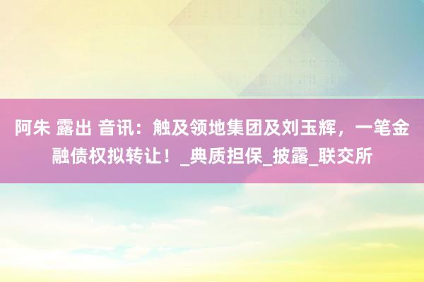 阿朱 露出 音讯：触及领地集团及刘玉辉，一笔金融债权拟转让！_典质担保_披露_联交所
