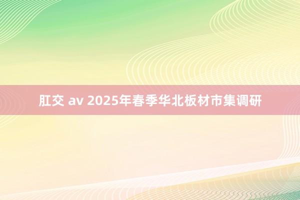 肛交 av 2025年春季华北板材市集调研