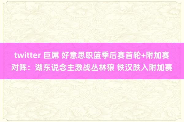 twitter 巨屌 好意思职篮季后赛首轮+附加赛对阵：湖东说念主激战丛林狼 铁汉跌入附加赛