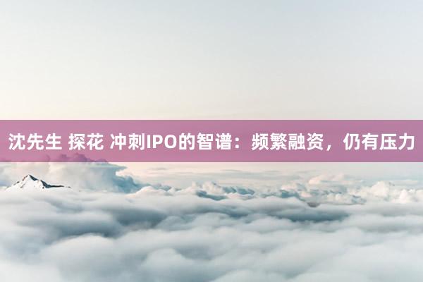 沈先生 探花 冲刺IPO的智谱：频繁融资，仍有压力