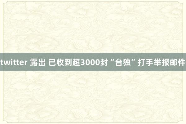 twitter 露出 已收到超3000封“台独”打手举报邮件