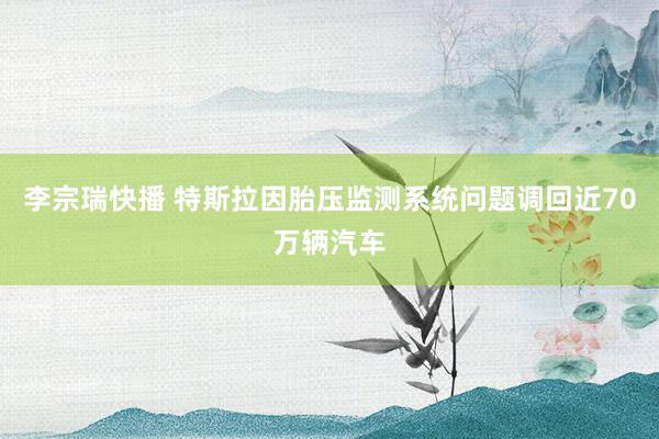 李宗瑞快播 特斯拉因胎压监测系统问题调回近70万辆汽车