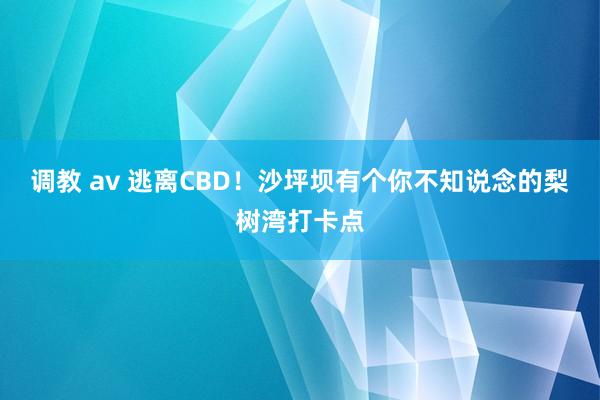 调教 av 逃离CBD！沙坪坝有个你不知说念的梨树湾打卡点