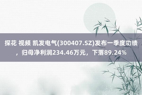 探花 视频 凯发电气(300407.SZ)发布一季度功绩，归母净利润234.46万元，下落89.24%