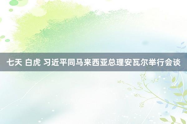 七天 白虎 习近平同马来西亚总理安瓦尔举行会谈