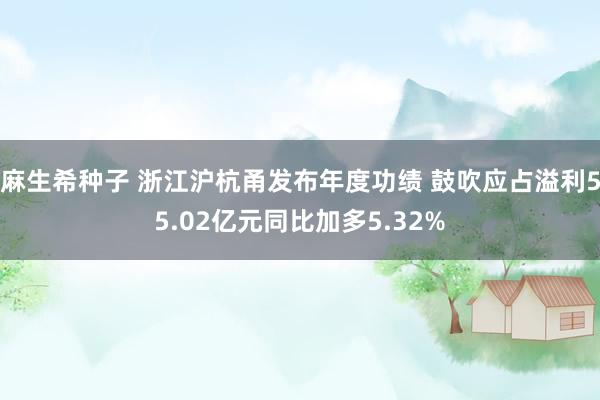 麻生希种子 浙江沪杭甬发布年度功绩 鼓吹应占溢利55.02亿元同比加多5.32%