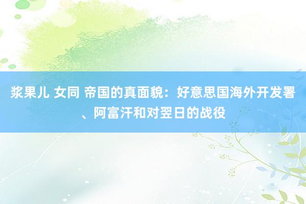 浆果儿 女同 帝国的真面貌：好意思国海外开发署、阿富汗和对翌日的战役