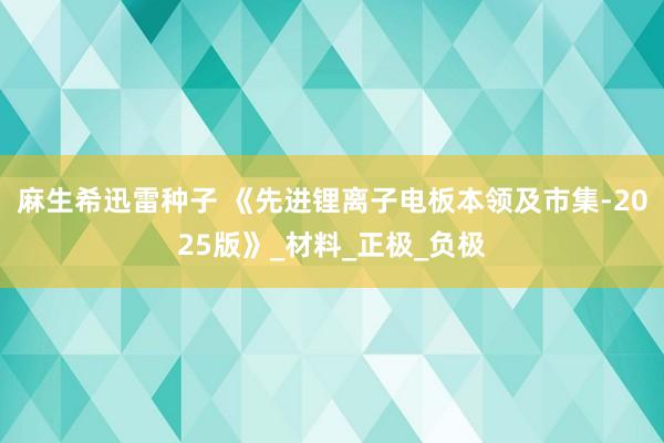 麻生希迅雷种子 《先进锂离子电板本领及市集-2025版》_材料_正极_负极