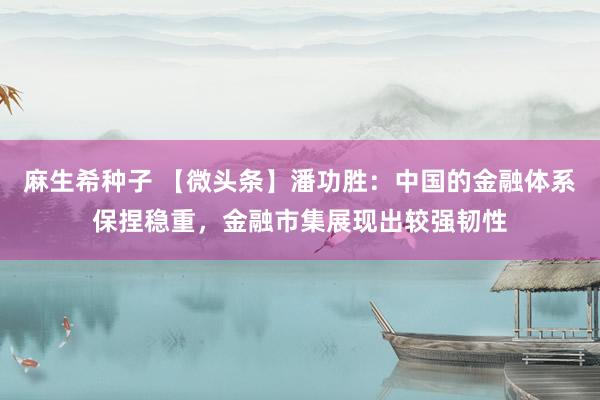 麻生希种子 【微头条】潘功胜：中国的金融体系保捏稳重，金融市集展现出较强韧性