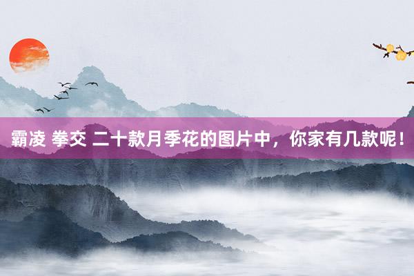 霸凌 拳交 二十款月季花的图片中，你家有几款呢！